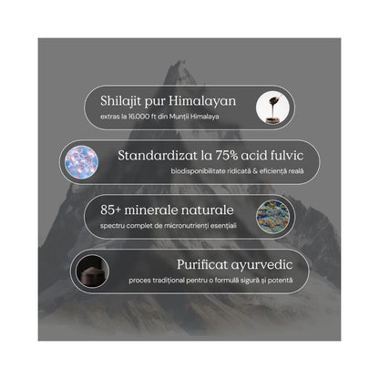 Himalayan Shilajit 30 g Byolitic