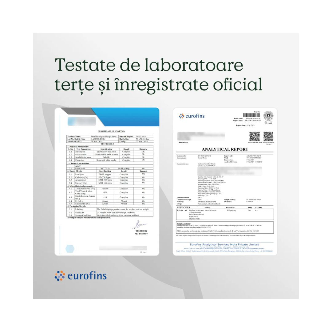 Himalayan Shilajit 30 g Byolitic